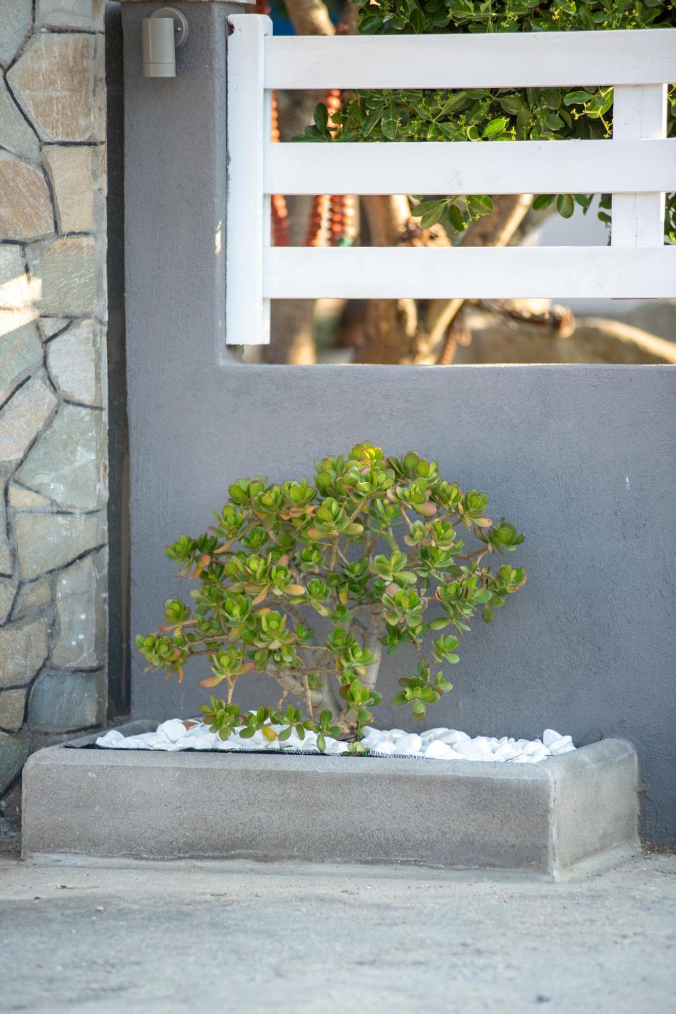 Studios Vagelis Kalamitsi  Exterior photo